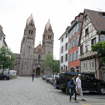 Gite Le Colombier Selestat - 30Min Europapark Buitenkant foto